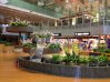 Vacations - Singapore