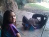 Chimp was just hanging out in front of the window