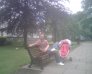 Camera Phones
