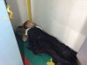 Mason was so tired that he feel asleep at the kids play place in Dumeguete