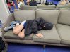 Blake found a place to take a nap during Mason's IASAS volleyball tournament