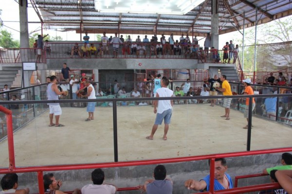 Siquijor Cockfighting