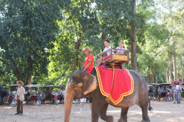 Kalani and Robbie got to see the Banyon Temple from the back of an elephant.