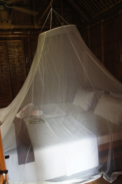 Sleeping under mosquito nets.  Reminded me of mission in El Salvador!