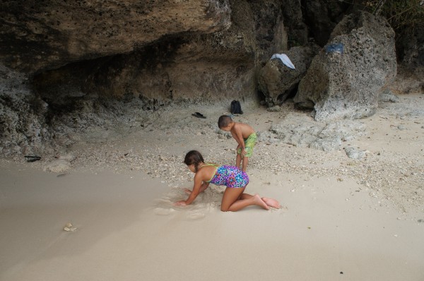 The kids loved playing on the beach, exploring the area and finding sea shells 