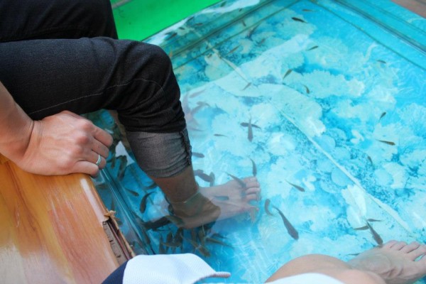 Fish massage in Cambodia...it was nice after walking around all of the temples