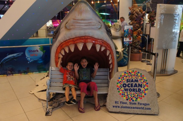 Siam Ocean World is a pretty amazing aquarium on the ground floor of a mall