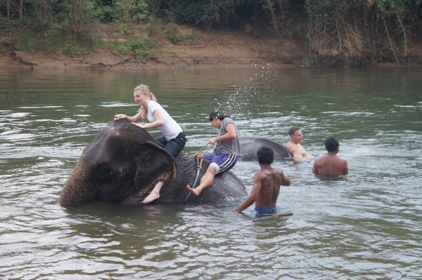 We rode the elephants, brushed them down and played with them...the highlight of the vacation for us