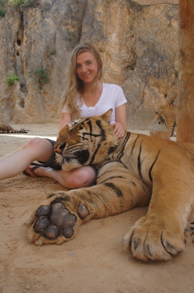 Tiger on her lap in Thailand