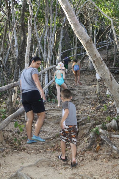 Taking a hike around the resort.  Our destination was a look-out tower to see some fruit bats