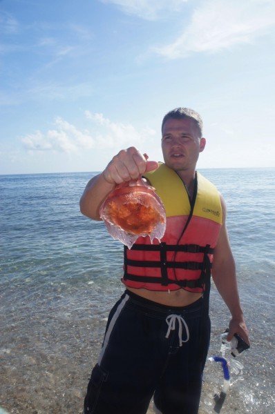 We saw some jelleyfish and some got stung by them while swimming. But, we also saw sea turtles since they eat jellyfish