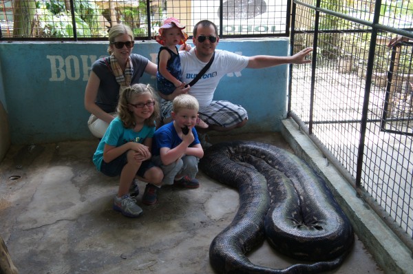 Python Sanctuary...this snake is still alive but doesn't move do to obesity.