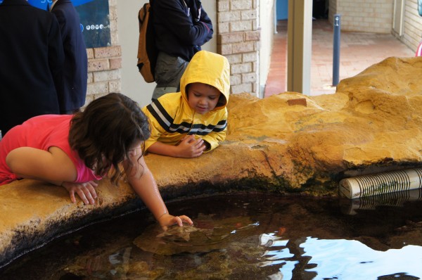 Day 5 was spent at the aquarium.  Mason really liked the touch pool.