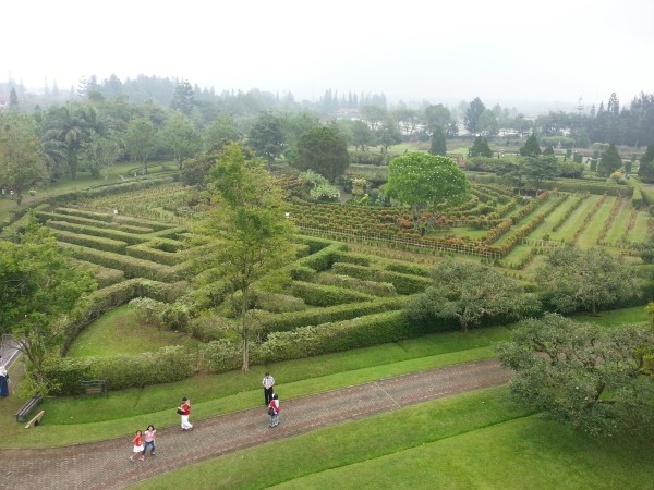 The kids could have spent another hour or two here enjoying the garden. They really liked doing this maze