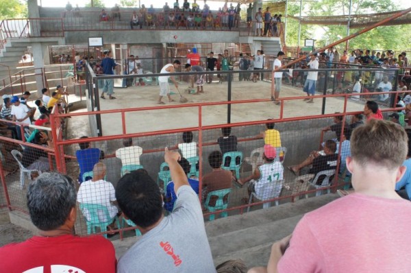 The boys also went to a cock-fight where our cousin had a rooster fighting