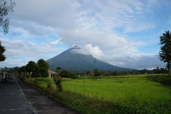 Since we already paid to have a whale shark excursion at a location, we woke up early to try our luck again. And we had a beautiful view all the way to the pier of the Mayon Volcano