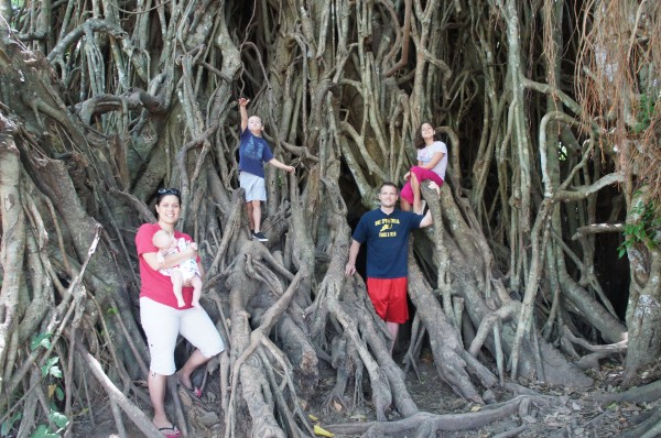 We got to explore the "Millennium Balete Tree" where you can walk through it since there is a path "carved out". And the kids could have stayed here for a couple of hours climbing all over it