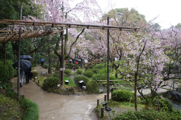 It was rainy while we visited Heian Shrine, but the gardens were so lovely.