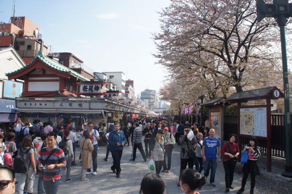 Just outside the gate of Sensoji Temple is a large souninir shopping area.