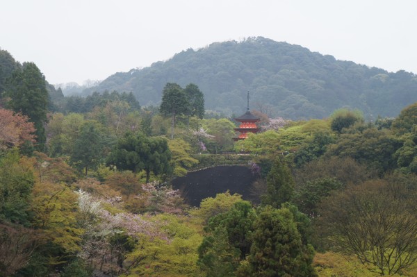 Lovely Kyoto.