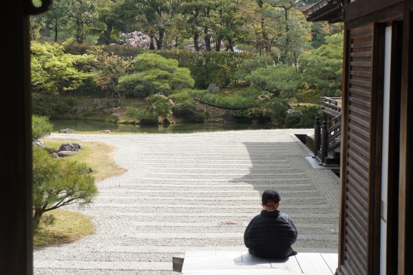 Even Mason can sit and and meditate in Kyoto.