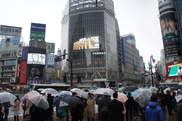 We got to experience the Shibuya Scramble at this crazy intersection.