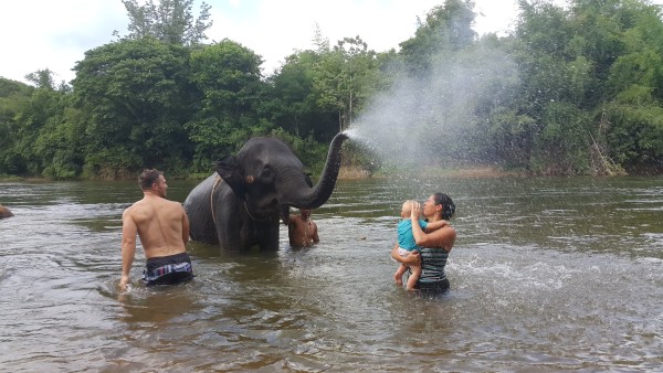 Kalani didn't want to get wet, but we did take Blake out in the water and he got cooled off by an elephant.