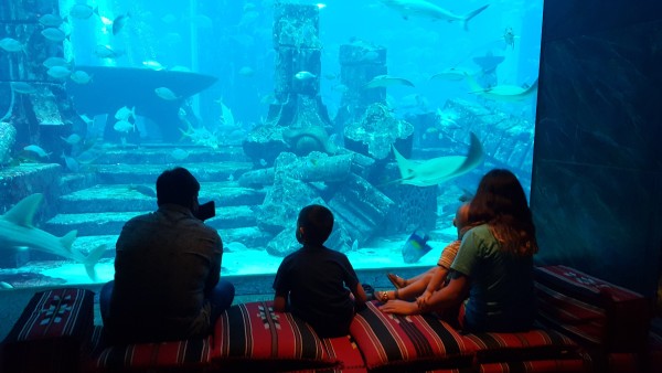 We had time to spare in the afternoon, so we went to the "Atlantis" hotel and walked around their aquarium.