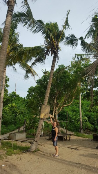 We found this make-shift basketball hoop nailed to a coconut tree.