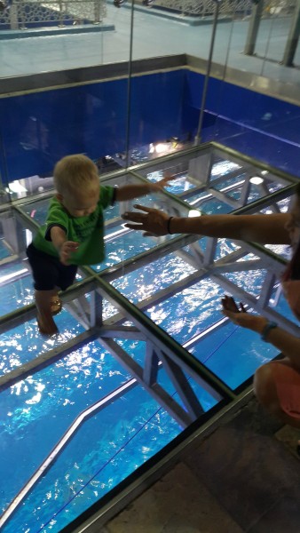 Blake wasn't sure about this glass flooring where there were large fish (maybe some sharks) underneath.