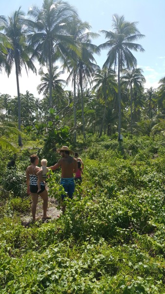 After lunch we walked to another area of the property to have a friend climb up the tree and get us some coconuts.