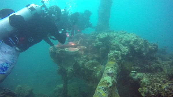 On wreck dives you need to be careful not to kick up the silk/sand that has settled on the wreck or else you can't see anything.