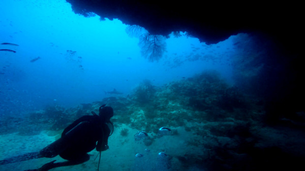 Siaes Tunnel was our second dive.