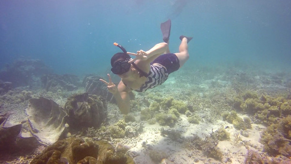 Our next stop was to see some giant clams.