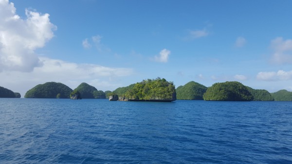 Palau is beautiful with hundreds of these small islands in the middle of the ocean.