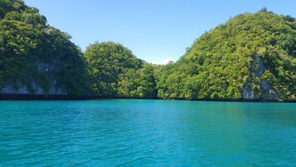 One day we were able to have lunch on the boat in this area that was secluded and peaceful.