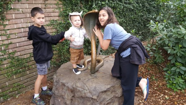 Visiting the zoo